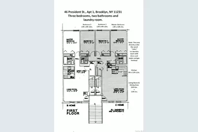 46 President Street #1 (1st Fl), Brooklyn, NY 11231 - Photo 2