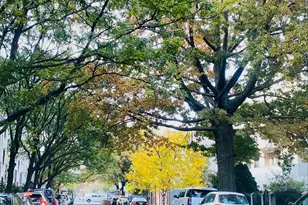 21-67 33 St, Astoria, NY 11105 - Photo 2