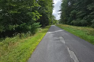 3624 State Rte 55, Kauneonga Lake, NY 12720 - Photo 18