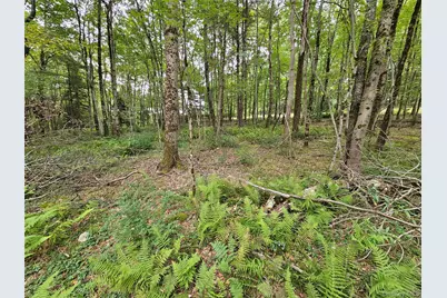 3624 State Route 55, Kauneonga Lake, NY 12720 - Photo 30