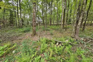 3624 State Rte 55, Kauneonga Lake, NY 12720 - Photo 30