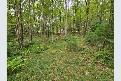 3624 State Route 55, Kauneonga Lake, NY 12720 - Photo 28