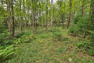 3624 State Rte 55, Kauneonga Lake, NY 12720 - Photo 28
