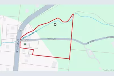 3624 State Route 55, Kauneonga Lake, NY 12720 - Photo 42