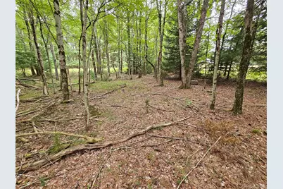 3624 State Route 55, Kauneonga Lake, NY 12720 - Photo 26