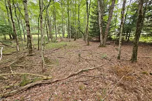 3624 State Rte 55, Kauneonga Lake, NY 12720 - Photo 26