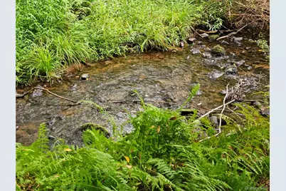 3624 State Route 55, Kauneonga Lake, NY 12720 - Photo 28