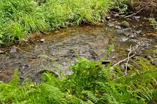 3624 State Rte 55, Kauneonga Lake, NY 12720 - Photo 28