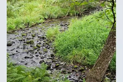 3624 State Route 55, Kauneonga Lake, NY 12720 - Photo 26