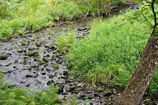 3624 State Rte 55, Kauneonga Lake, NY 12720 - Photo 26