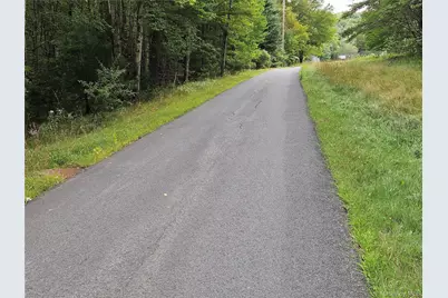 3624 State Route 55, Kauneonga Lake, NY 12720 - Photo 30