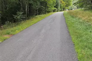 3624 State Rte 55, Kauneonga Lake, NY 12720 - Photo 30