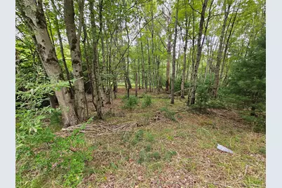 3624 State Route 55, Kauneonga Lake, NY 12720 - Photo 20