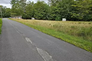 3624 State Rte 55, Kauneonga Lake, NY 12720 - Photo 34