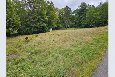 3624 State Route 55, Kauneonga Lake, NY 12720 - Photo 22