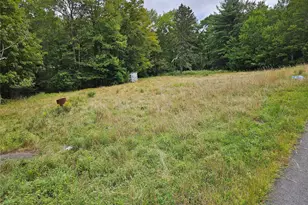 3624 State Rte 55, Kauneonga Lake, NY 12720 - Photo 22