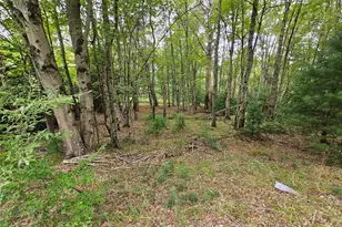 3624 State Rte 55, Kauneonga Lake, NY 12720 - Photo 20