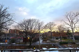 537 Miller Ave, Brooklyn, NY 11207 - Photo 22