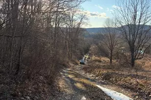 80 Hunter Ln, Wassaic, NY 12592 - Photo 22