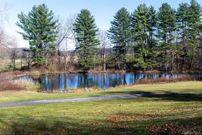 58 On The Green, Verbank, NY 12585 - Photo 4