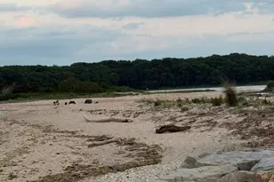 25 Miami Ave, Peconic, NY 11958 - Photo 30