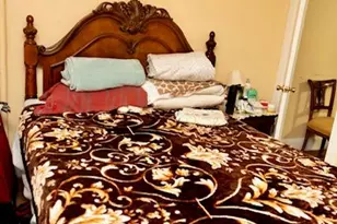 19 Frederick Ave, Elmont, NY 11003 - Photo 8