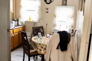 19 Frederick Ave, Elmont, NY 11003 - Photo 10