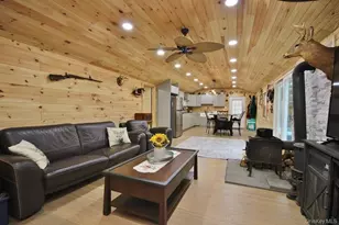 703 Dahlia Rd, Livingston Manor, NY 12758 - Photo 14