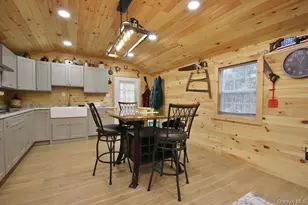 703 Dahlia Rd, Livingston Manor, NY 12758 - Photo 2