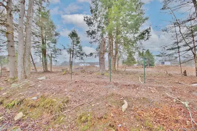 703 Dahlia Road, Livingston Manor, NY 12758 - Photo 24