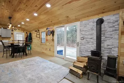 703 Dahlia Road, Livingston Manor, NY 12758 - Photo 16