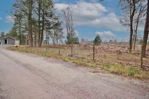 703 Dahlia Rd, Livingston Manor, NY 12758 - Photo 44