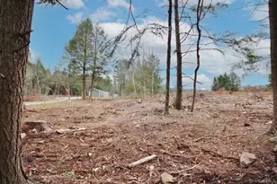 703 Dahlia Rd, Livingston Manor, NY 12758 - Photo 40