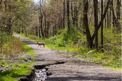 5 John Street #3rd Fl. Penthouse, Tarrytown, NY 10591 - Photo 24