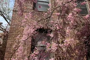 150-29 72 Garden, Kew Gardens, NY 11367 - Photo 16