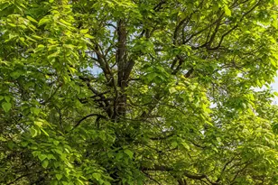 249 Old Saw Mill Rd, Germantown, NY 12526 - Photo 30