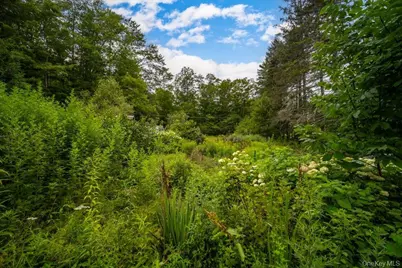 2 Couzines Road, Woodbourne, NY 12788 - Photo 44