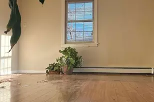 147 Pauls Path, Coram, NY 11727 - Photo 2