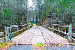 102 Rider Hollow Rd, Arkville, NY 12406 - Photo 6