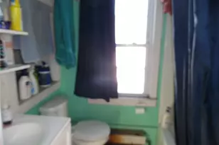 12 Thornton, Monticello, NY 12701 - Photo 10