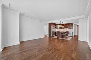 1 Renaissance Square, White Plains, NY 10601 - Photo 12