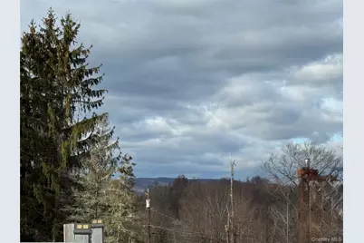 326 Long Lane, Bloomingburg, NY 12721 - Photo 18