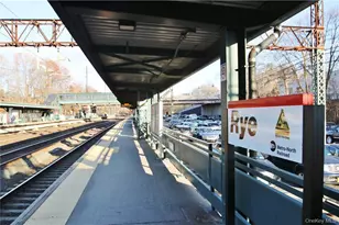 5 Laurel St, Rye, NY 10580 - Photo 24