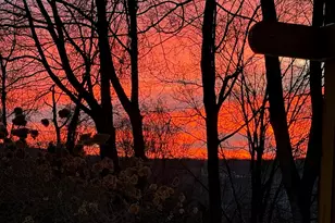 80 Bear Hill Rd, Patterson, NY 12563 - Photo 44