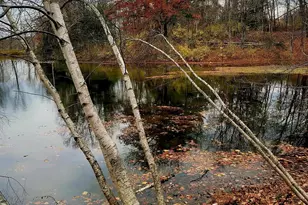 461 Route 199, Red Hook, NY 12571 - Photo 36