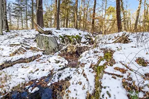 344 Schultz Hill Rd, Rhinebeck, NY 12572 - Photo 42