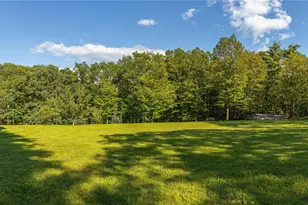 596 Joseph Chadderdon Rd, Cairo, NY 12413 - Photo 46