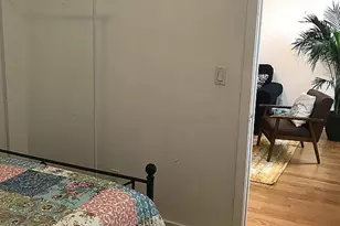 234 Richardson St, Brooklyn, NY 11222 - Photo 14