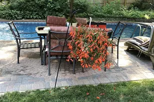 105 Rustic Rd, Port Jefferson, NY 11777 - Photo 28