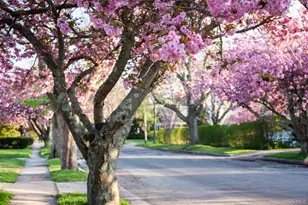 550 Madison Ave, Greenport, NY 11944 - Photo 2